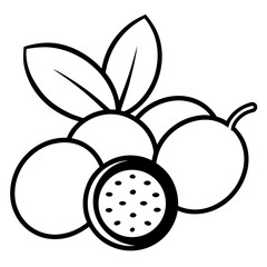 Lychee outline vector, a modern lychee icon art design, black vector of a lychee, simple lychee art, a lychee isolated