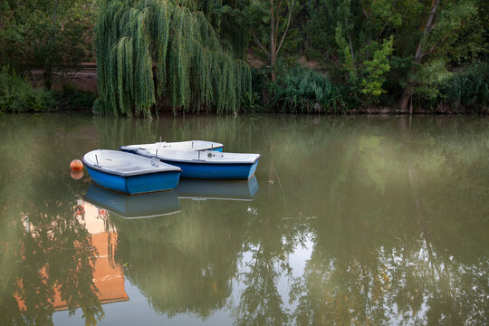 dos barcas de remo de color azul y blanca en unir con reflejos en el agua y arboleda en los bordes de la ribera