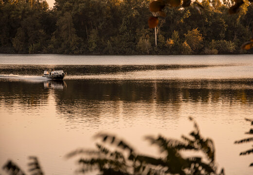 swans on the lake - Powered by Adobe