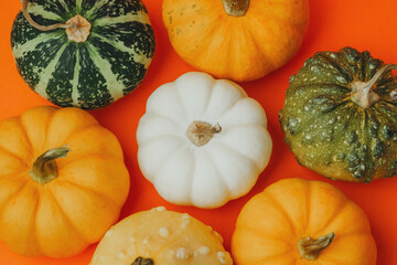 Assortment of pumpkins and gourds arranged on an orange background