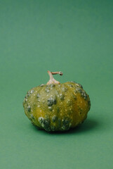 Green bumpy gourd with stem isolated on plain green background, natural produce