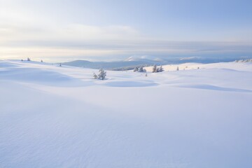 Fototapeta premium Snowy Winter Landscape with Clear Sky