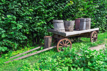 An old cart with wooden barrels in the garden.