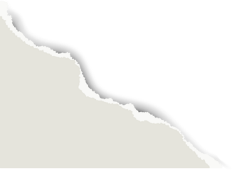 Torn sheet of paper. Jagged stripe with vintage texture on gray background for banners and text blocks. Fragments of notebook pages for collages with rough edges and realistic shadows.