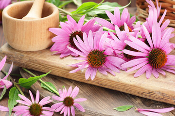 Echinacea purpurea plant flowers on wooden background, copy space, natural medicine, antiviral treatment, immune booster concept