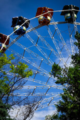 A striking vertical shot of a vintage Ferris wheel against a vibrant blue sky, partially obscured by green trees. Its colorful cabins add a pop of nostalgia to the bright, clear day.

