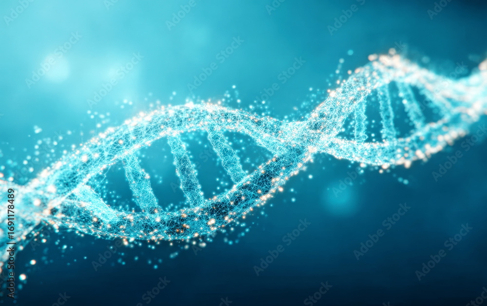 Poster exploring the structure and function of dna molecule