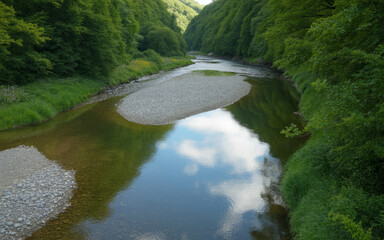Serene river winding through lush green forest with cloudy sky reflection