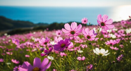 Fototapeta premium A vibrant field of pink and white flowers stretches toward the ocean, capturing the beauty of nature in full bloom under a bright sky.