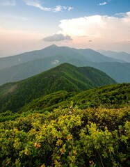 Fototapeta premium Mountainous landscape at sunset. Lush green hills