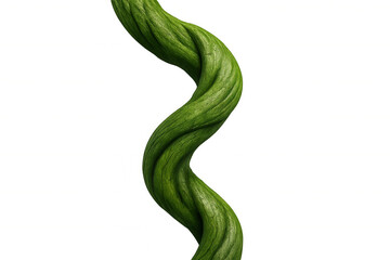 Green vine curling upwards, isolated on a transparent background, creating a natural and organic aesthetic