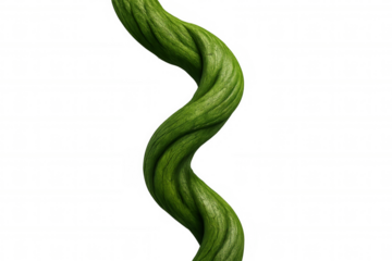 Green vine curling upwards, isolated on a transparent background, creating a natural and organic aesthetic