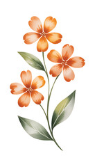 Watercolor red flower branch. Botanical watercolor blossom with green leaves.