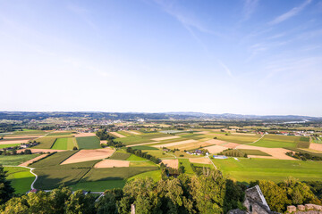 Obraz premium Burgruine Stauf Haibach ob der Donau, Austria. 