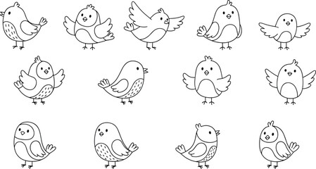 Cartoon bird poses set, outlined style, educational character illustration, flat vector, cad drawing, stock image, visual activity theme
