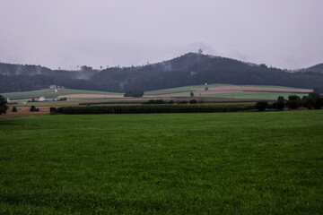 Woods. Haag Am Hausruck