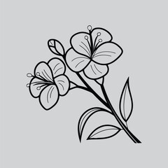 Canna Lily Flower Outline Clipart for Decoration