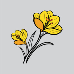 Fototapeta premium Stylish White Canna Lily with Leaf Vector Art