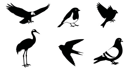 Obraz premium Dynamic vector illustration, a diverse collection of bird silhouettes, ideal for nature, wildlife, and avian design projects.