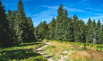 Wędrówka po Beskidzie Żywieckim © Aleksandra