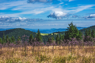 Wędrówka po Beskidzie Żywieckim © Aleksandra