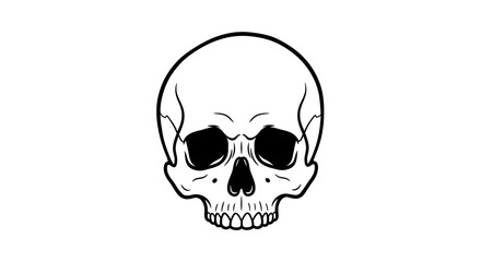 Black and White Skull Illustration Isolated on White
