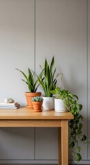 Indoor Plants on Wooden Table, Minimalist Home Decor.