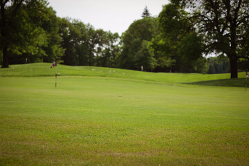 A golf course focusing on a green with a flagstick and hole visible, surrounded by trees and a clear sky. recreation design element