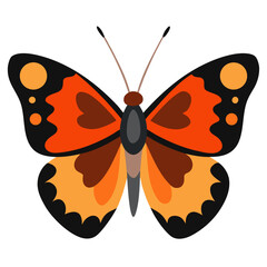 Calligraphic butterfly vector art design. Butterfly on white background.