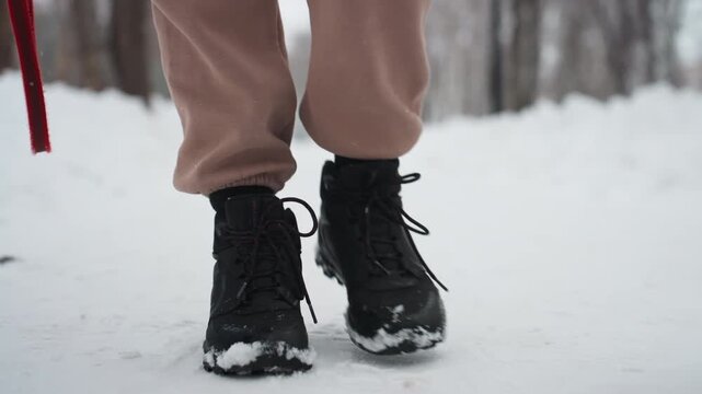 Close-up of dog owner walking beside whippet on snowy winter path, focus on black boots stepping through snow next to dog s slender legs, red leash visible, soft snow covering ground in cold outdoor
