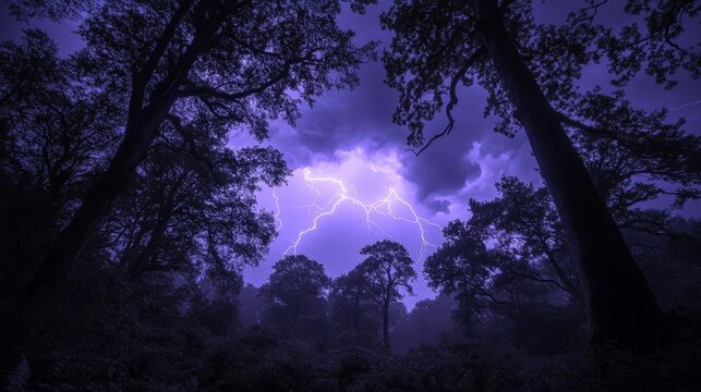 Dramatic lightning strikes among tall trees under a stormy night sky, illuminating the forest in vibrant purple hues.
