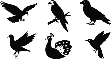 Bird silhouette vector illustration, eagle, parrot, pigeon, dove, peacock, hummingbird, flying bird icon, wildlife design, exotic animal symbol