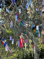 Colorful wishes hang from a tree at the Japanese Garden in Buenos Aires, Argentina. Visitors write...