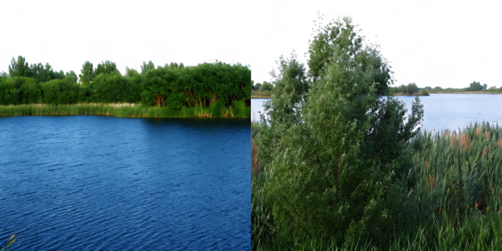 Blue lake with green trees and reeds landscape isolated on a transparent background - Powered by Adobe