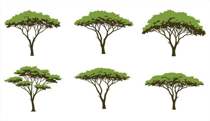 Collection of acacia trees illustration, african savanna landscape elements, flat canopy nature design, safari wilderness environment graphics