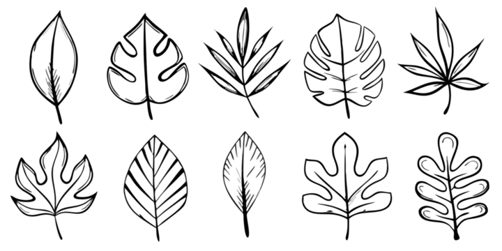 Collection of abstract hand drawn leaf shapes isolated on a transparent background