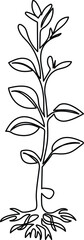 Growing plant tree single line art vector