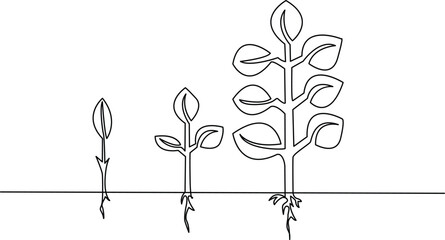 Growing plant tree single line art vector