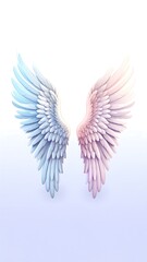 Pair of delicate angel wings