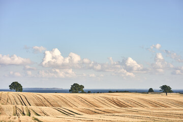 Rural fields at the coast of the baltic sea in Denmark. High quality photo