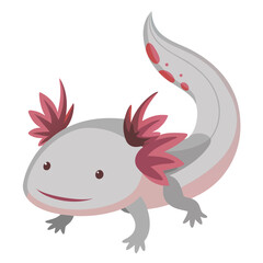 red dragon on white background