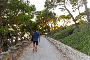 Man walking on forest path near the sea at sunset. A man walks alone down a scenic gravel path surrounded by pine trees and greenery, with sunset light filtering through.