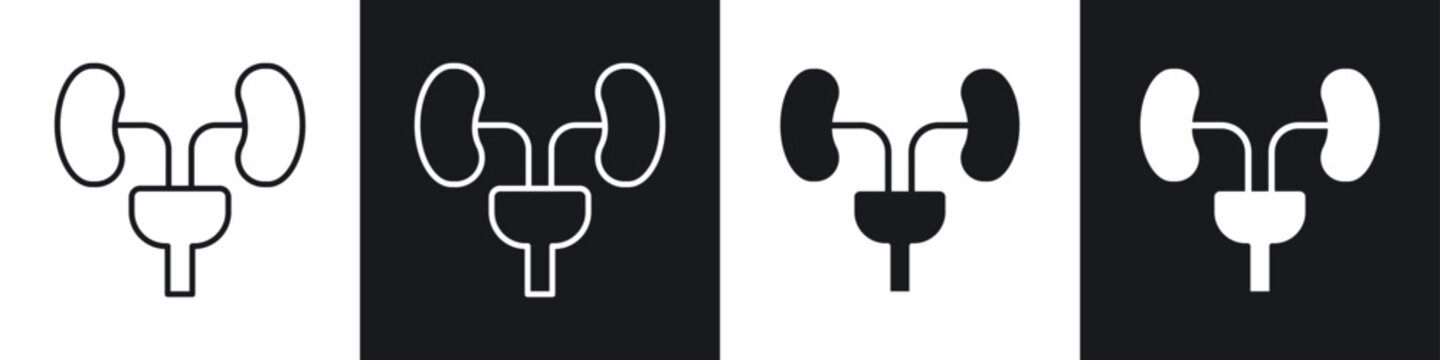 Urology icons in solid and stroke graphics