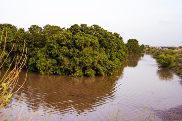 Floodplain Transformation After Torrential Monsoon