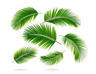 Palm leaves floating in the air