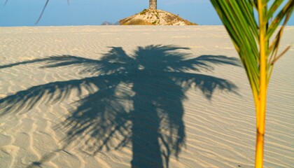 Palm shadow on a sandy beach