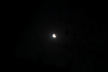 Lunar eclipse 2025 september 7th © Stefan