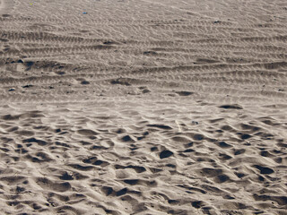 Human Footprint on Sandy Beach