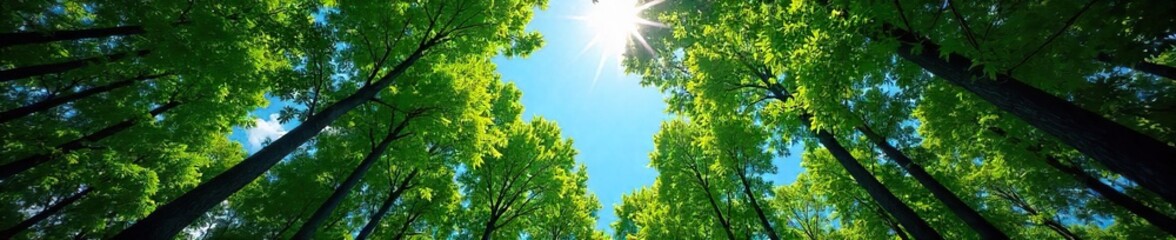 Serene view of a vast forest canopy reaching towards a vibrant blue sky, sunlight filtering through the leaves , serene, sky, trees