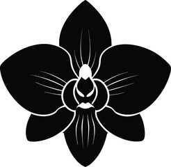 Abstract gradient flowing shapes with subtle light effect transparent background